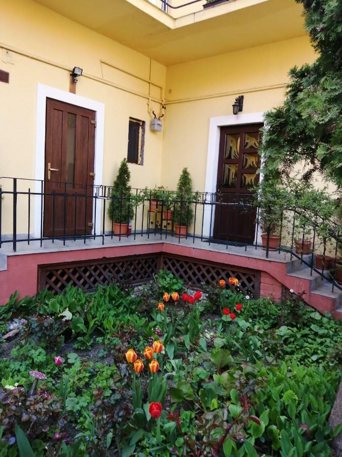 Villa Casa Ioana Brasov Exterior photo